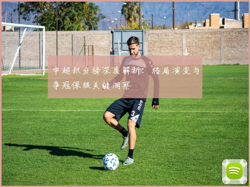 中超积分榜深度解析：格局演变与争冠保级关键洞察