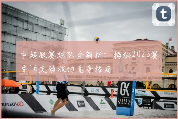 中超联赛球队全解析：揭秘2023赛季16支劲旅的竞争格局