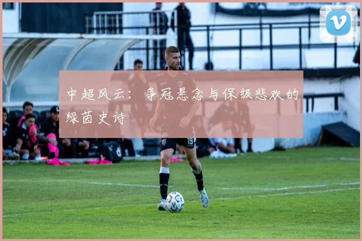 中超风云：争冠悬念与保级悲欢的绿茵史诗